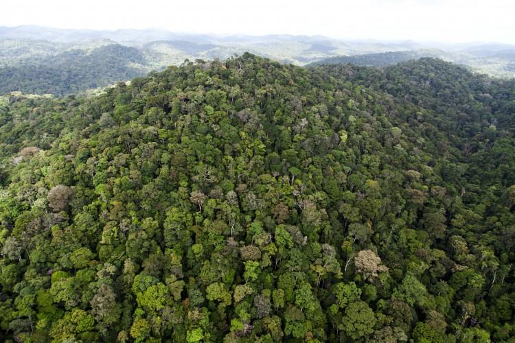 Amazon Imperiled by Climate Change Droughts: Study