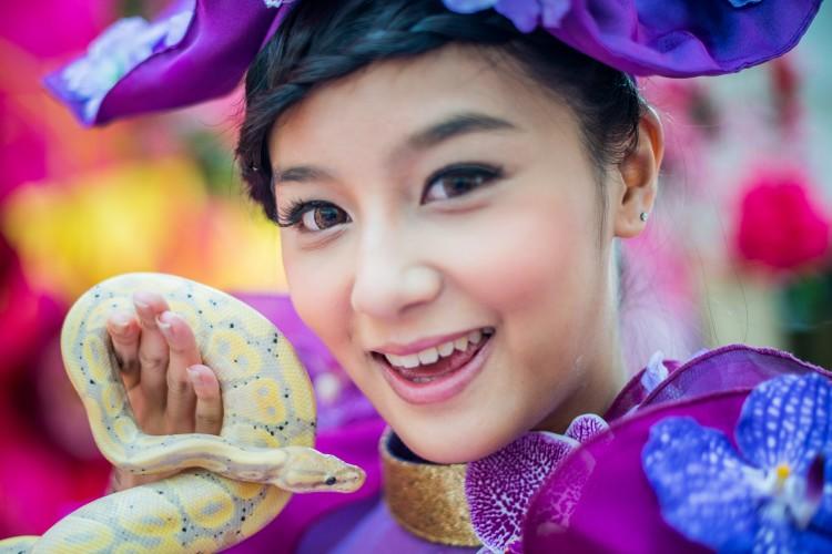 What Chinese Say About People Born in the Year of the Snake