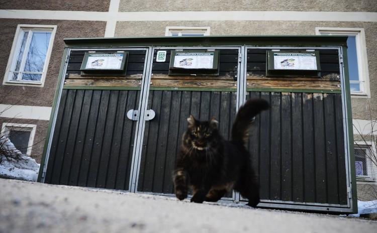 Swedish Police Stuck Chasing Cats
