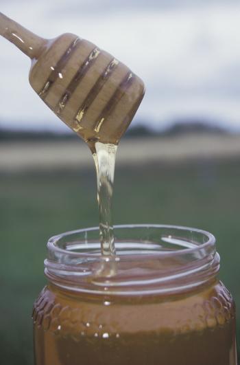 Honey: Studies Reveal Its Healing Properties