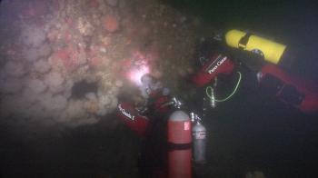 Divers Identify Sunken U.S. WWII Plane