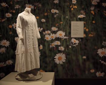Enchanted by Flowers: Emily Dickinson and Her Life as a Botanist