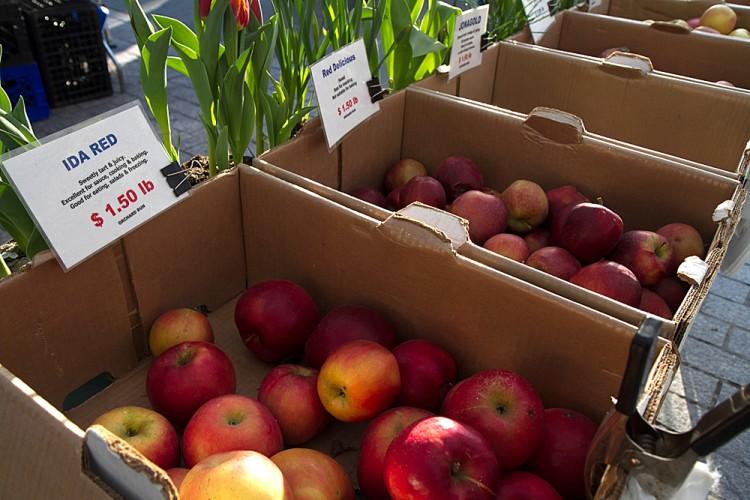 State Legislation Would Aid Apple Growers Hit by Frosts
