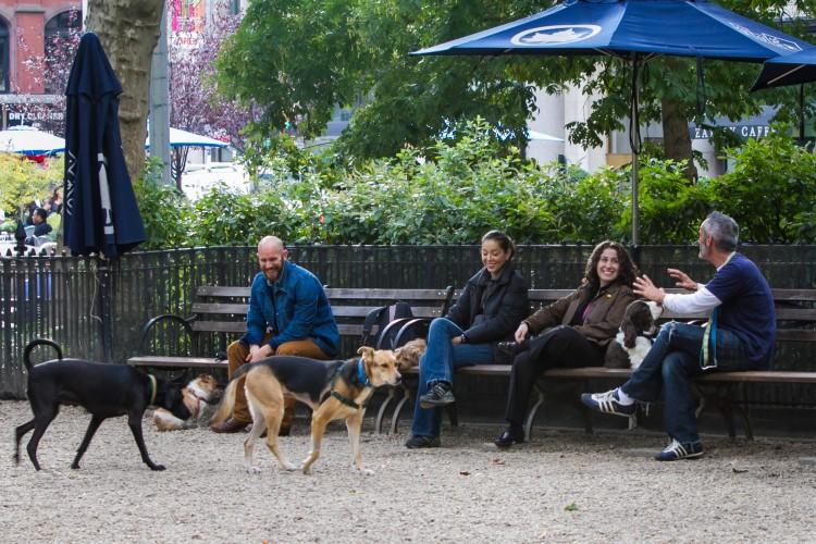 New Yorkers Resilient and Positive, Says Survey