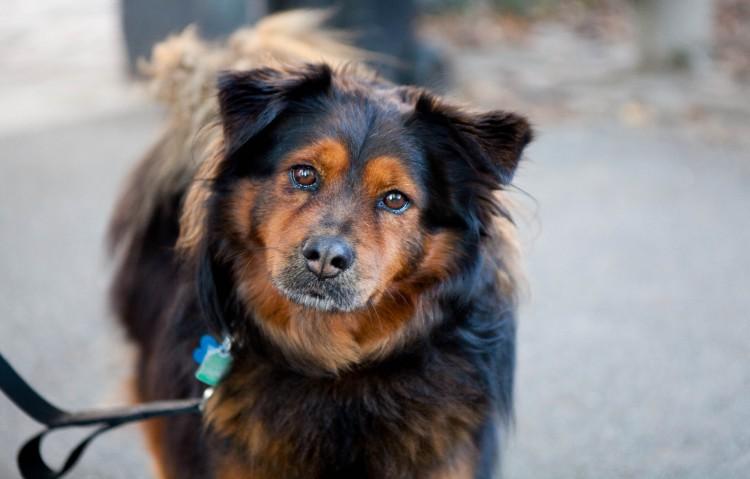 Kyler and Mali Enjoy Fall in Central Park