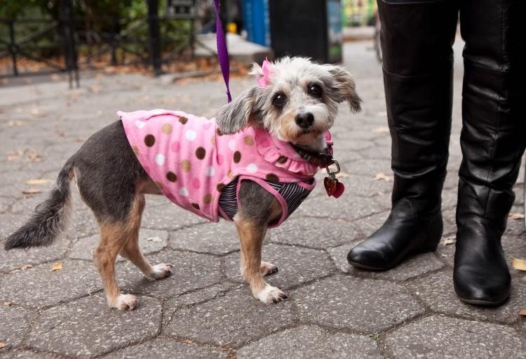 Ladies in Pink Stroll Through Union Square