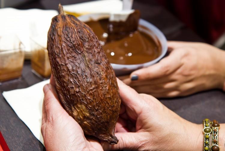 New Yorkers Keep Life Interesting With SideTour