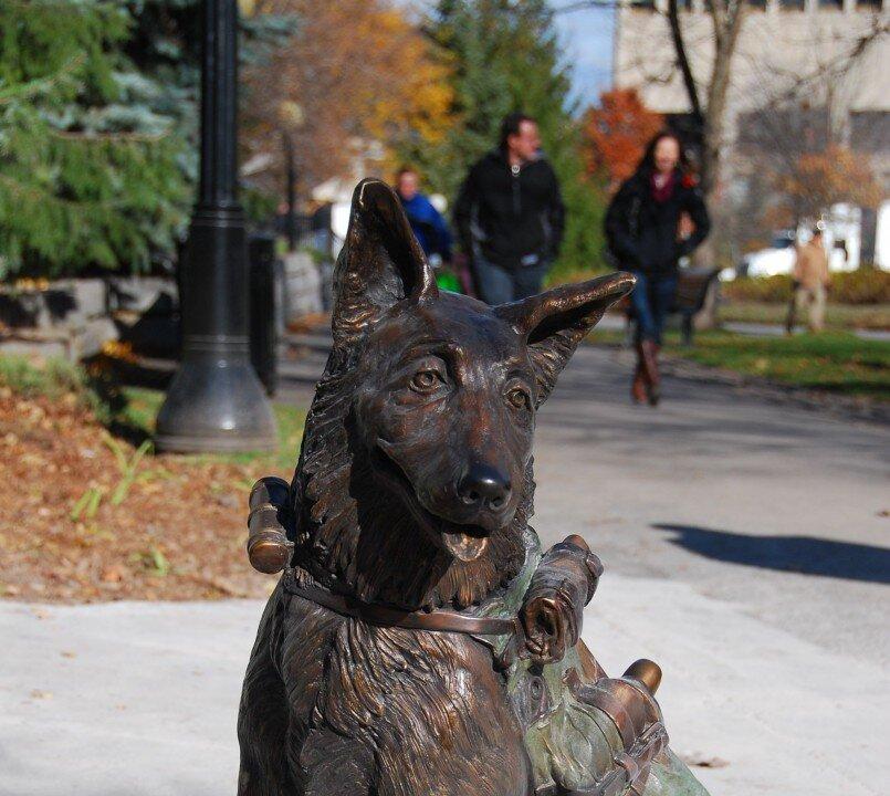 Canada Honours Contributions of Animals in War