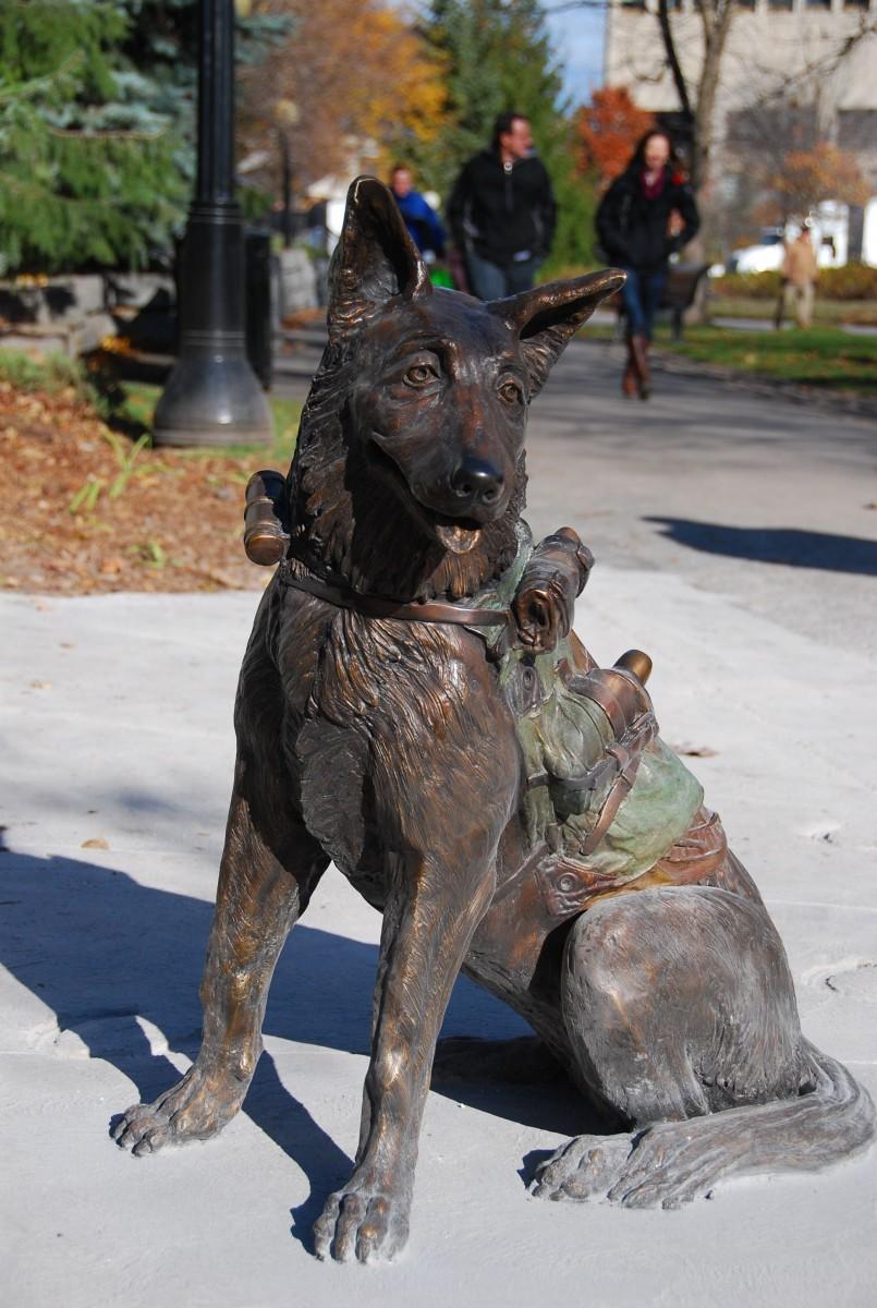 Canada Honours Contributions of Animals in War