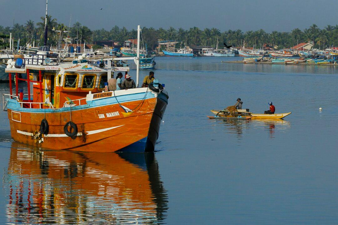 How Shrimp Farming Wreaked Havoc on Sri Lanka’s Coasts