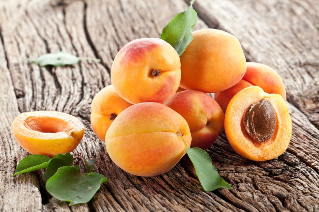 8 Healthy Reasons to Love Fresh Apricots