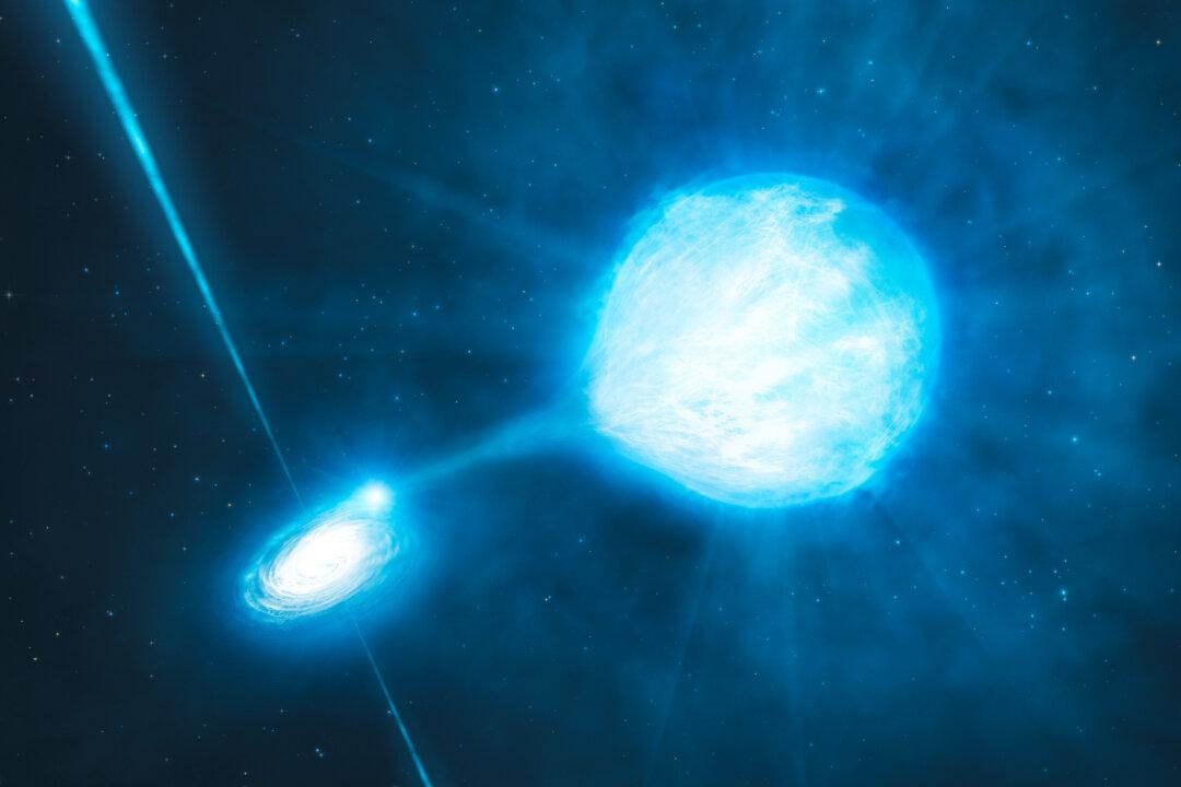 On Second Glance, Exotic Star System Looks a Bit Ordinary