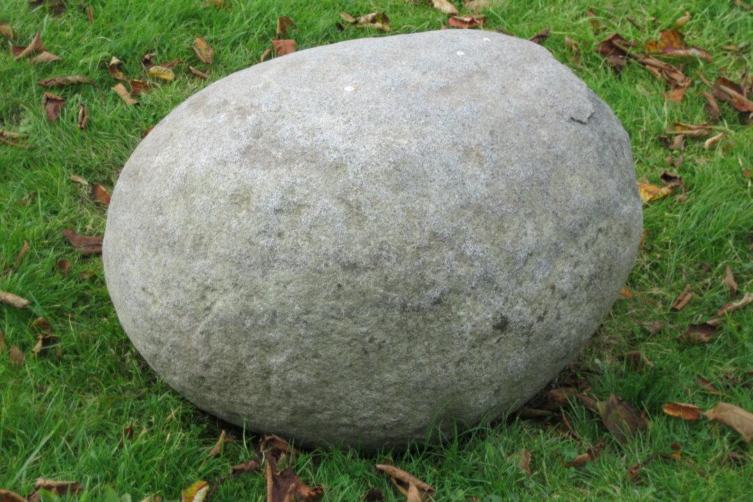 Ancient Stone of Strength Lifted for First Time in Living Memory
