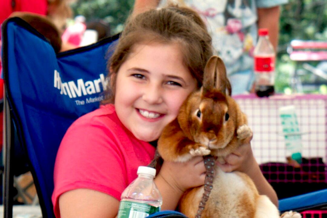 New 4-H Center in Otisville Hosts Family Fun Day
