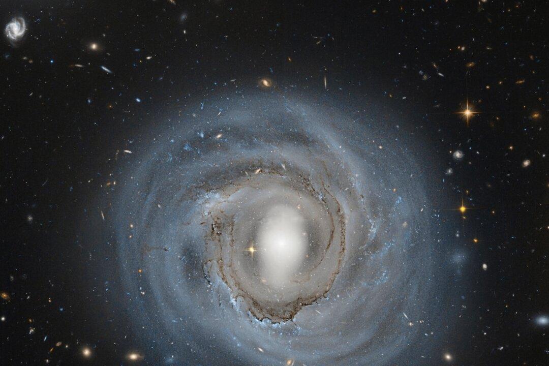 How Cosmic Winds Stop Stars From Forming