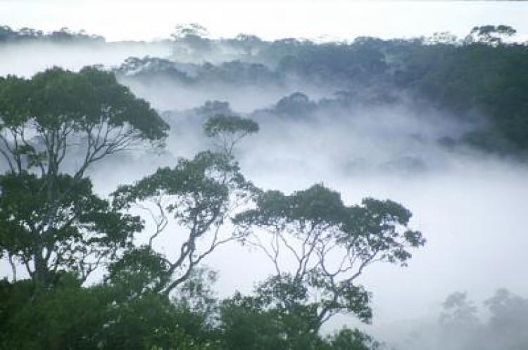 Cultural and Biological Diversity Hotspots Are Linked