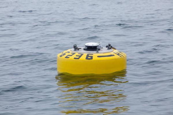 Wave Glider Robot Observes Great White Highway