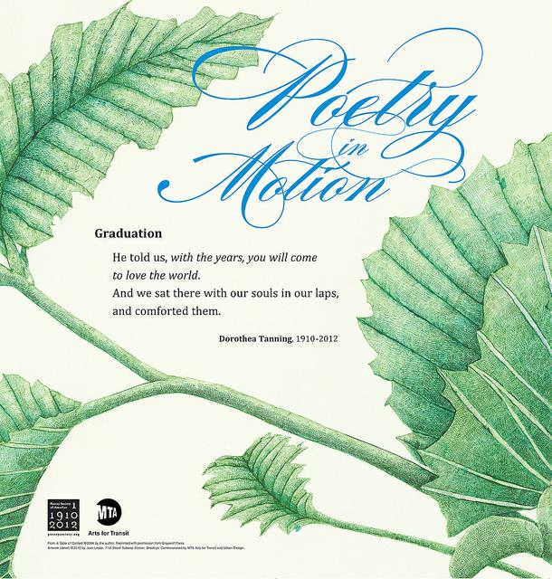 ‘We’re Buried in Batteries,’ Say Ukraine Activists