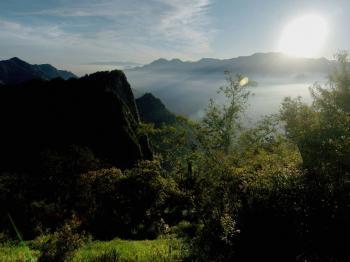 Alishan: A Gem of Taiwan