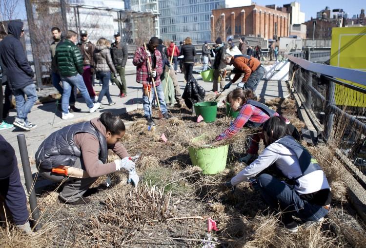 Teens Greening the Highline