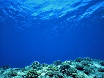 Climate Change Increasing Detrimental Low-Oxygen Zones in Oceans