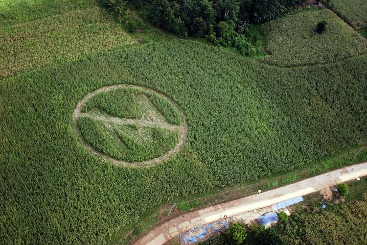 Soybean Farmer Squares Off With Monsanto Over Patent Law