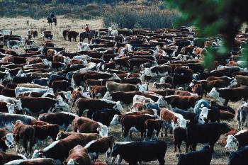 Forced Vaccinations, Government, and the Public Interest (Part 2)