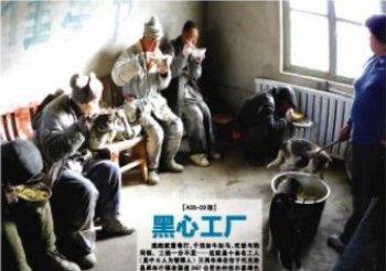 Mentally Disabled Forced into Slave Labor at Party-Backed ‘Rescue’ Center