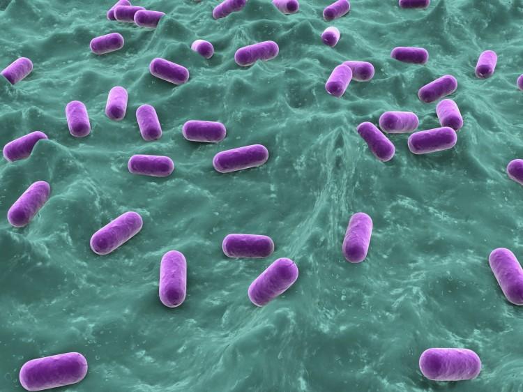 Antibacterial Coating Could Replace Antibiotics