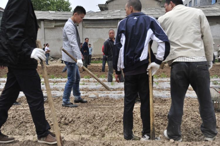 Violent, Forced Evictions in China on the Rise: Report
