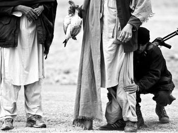 World in Brief, Jan 19