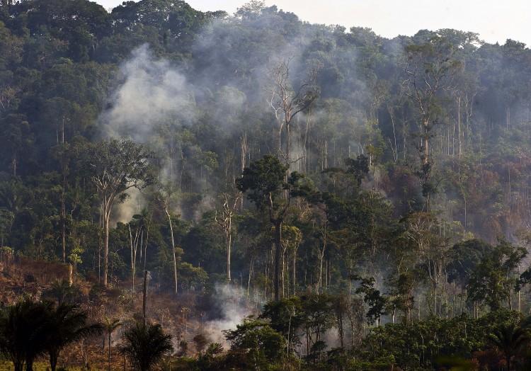 Indigenous People Farmed the Amazon Without Fire