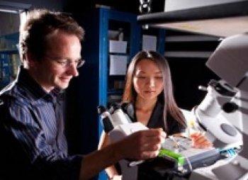 Controlling Animal Behavior Through Heated Nanoparticles