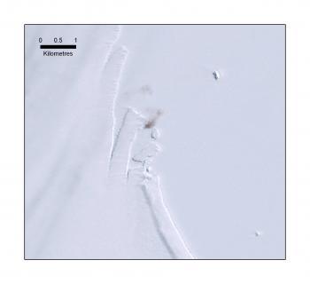 Guano Enables Scientists to Map Penguins From Space