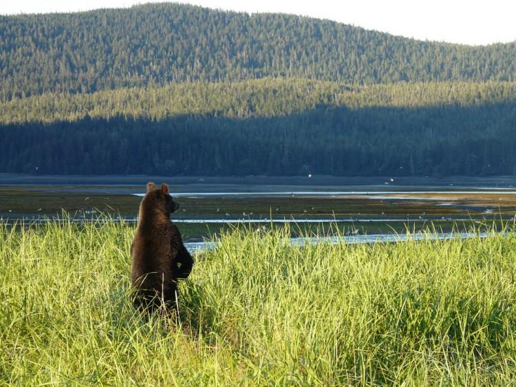Native Tribes in Southeast Alaska Await Owed Land