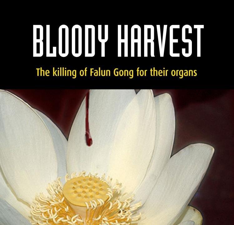 Bloody Harvest: Stealing Organs For Profit