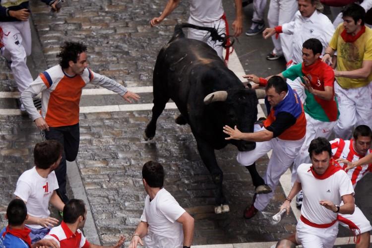 Several Injured in Spain’s Bull Run