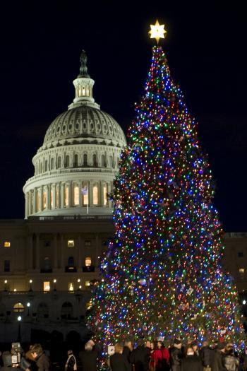 House Speaker Pelosi Lights the 2010 Capitol Tree