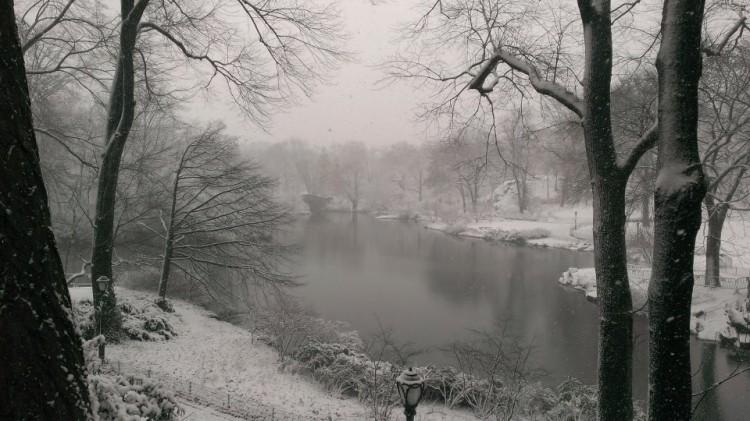 Late Winter Snowfall Slows New York Down