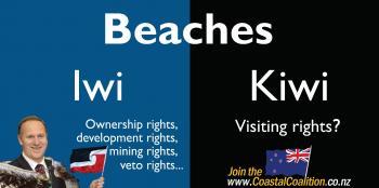 Controversial Ad Campaign to Remind Kiwis Beaches Could be Privatised