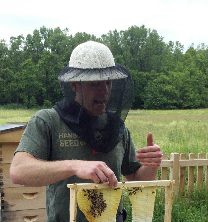 Amateur Apiculture Versus Bee Decline: The Bees’ Needs