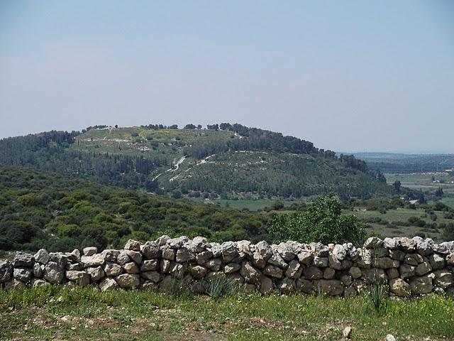 David and Goliath Battle Site to Be Excavated