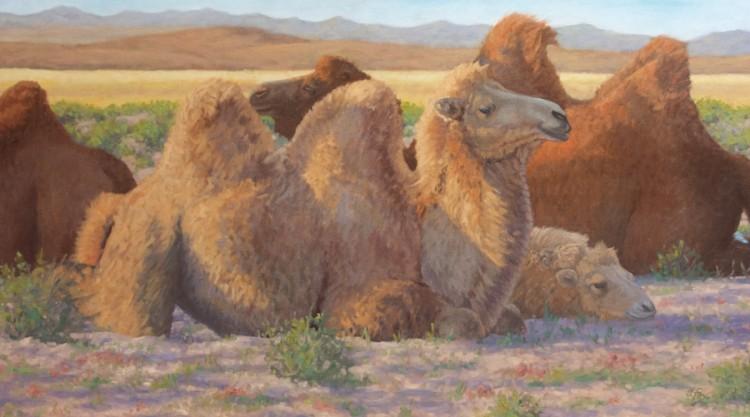 American Artist Susan Fox Paints Genghis Khan’s Mongolia