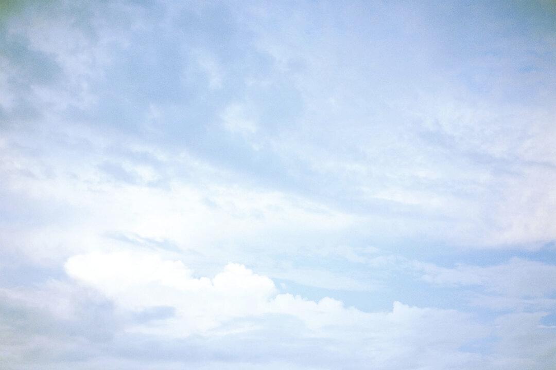 Album Review: Death of the Neighbourhood