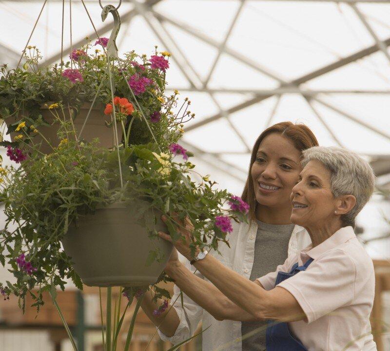 Canada’s Family Businesses Growing, but Struggle to Compete