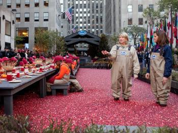 Cranberry Bog Gobbles Up Rock Center