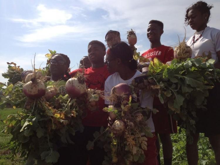 Urban Farm Combats Youth Unemployment