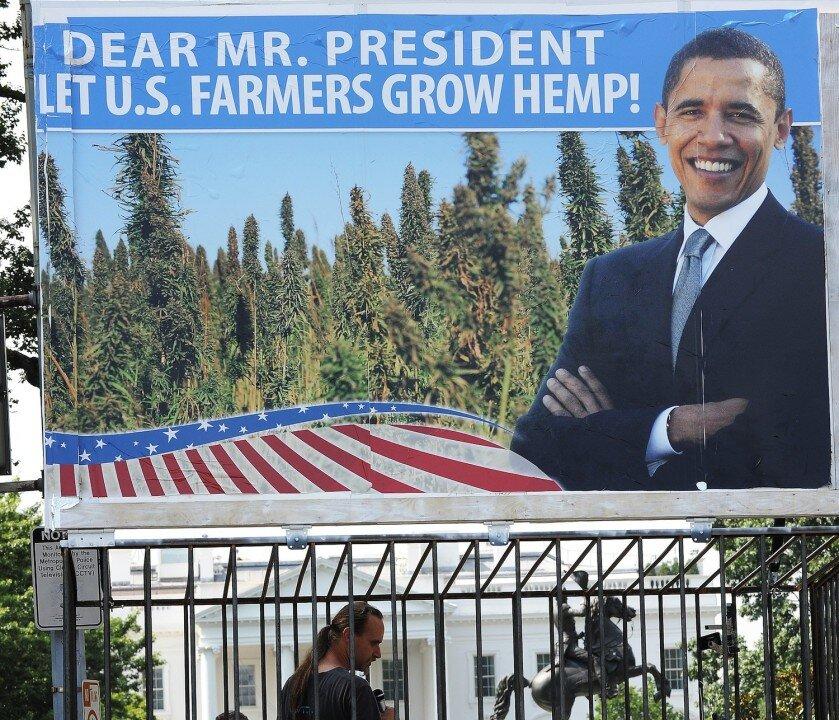 Lawmakers Push to Legalize Industrial Hemp