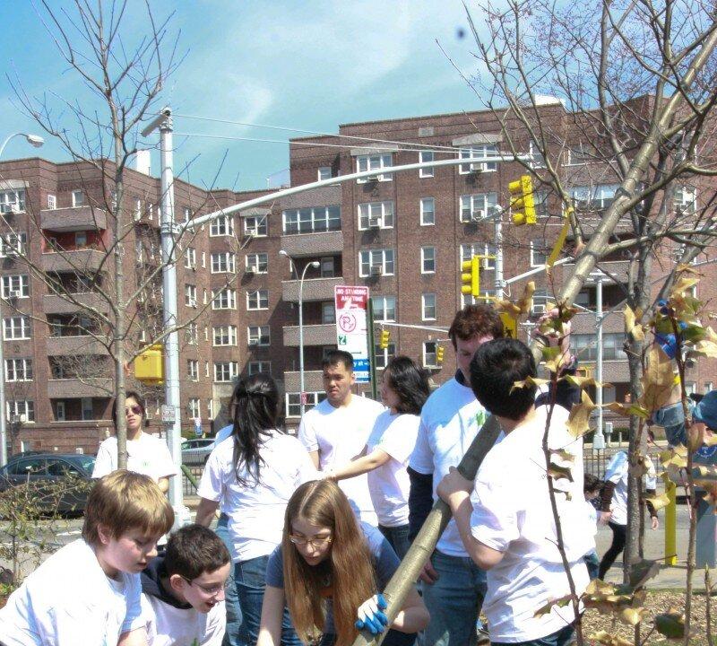 Spring Volunteer Opportunities