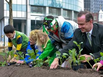 From Roots to Lettuce Leaves, a History of Urban Gardening in NYC